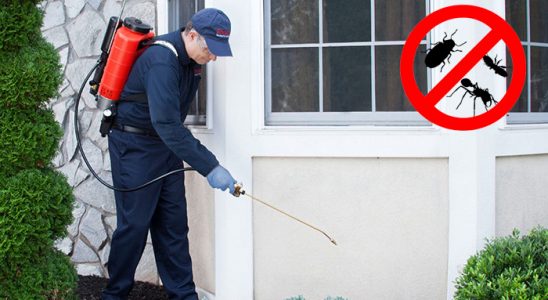 Kızılırmak Gümüşkurt İlaçlama böcek ilaçlama ve haşere kontrolü — ilaclama-tr.com